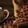 Why I Love Coffee