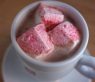 Hot-Cocoa-Homemade-Peppermint-Marshmallows-320x320.jpg