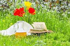 bouquet-tulips-books-white-hat-carafe-juice-green-grass-spring-garden-against-background-cherry-53447938