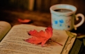 Leaves-Books-Coffee